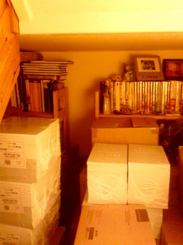 A rather orangey photograph of boxes piled up, and sealed packs of books. You can see something to the left that could be the edge of stairway, though really it's just a mess!